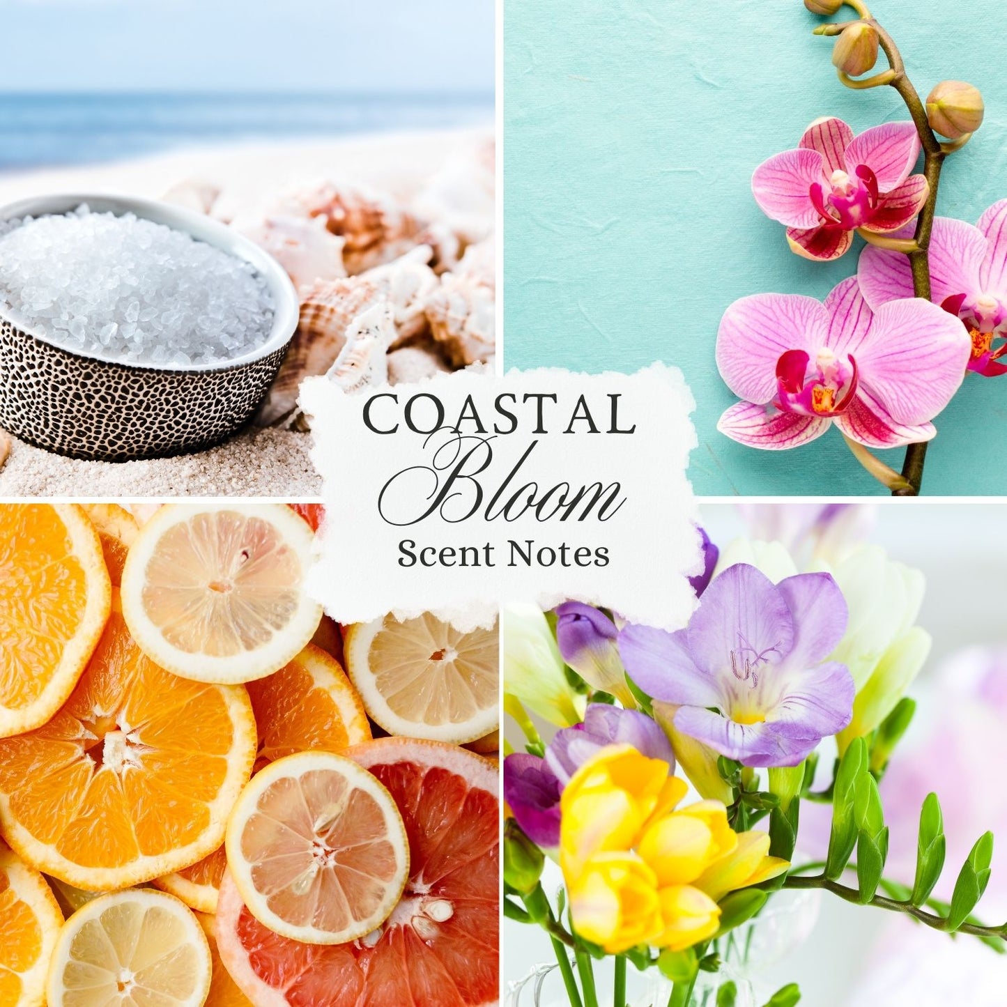 Coastal Bloom Wax Melt