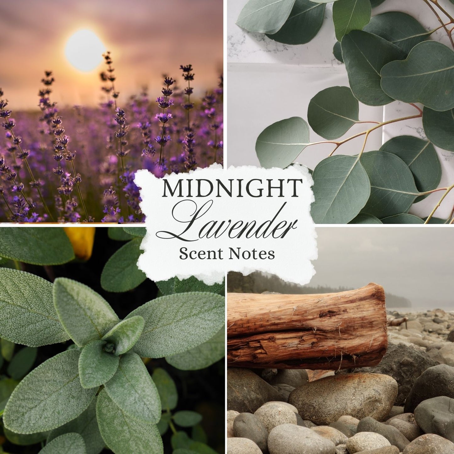 Midnight Lavender Wax Melt