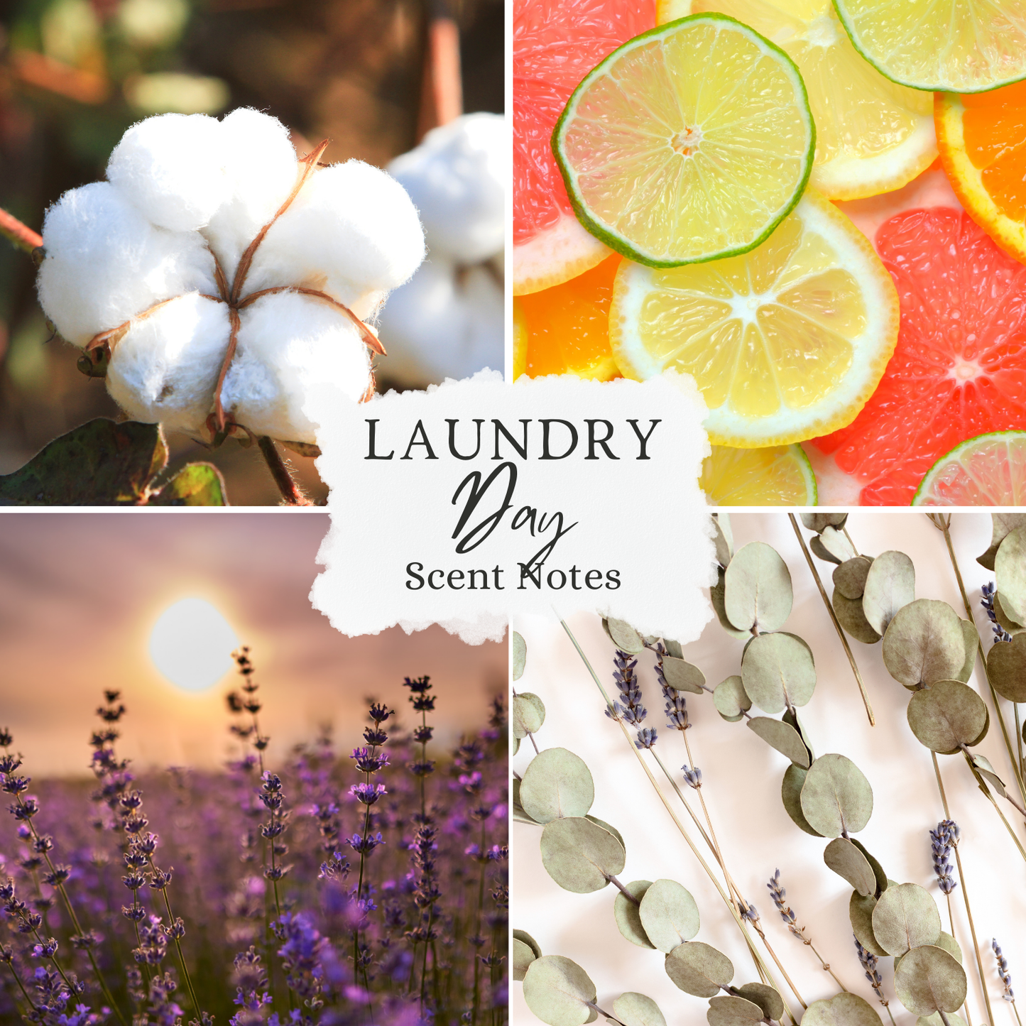 Laundry Day Wax Melt